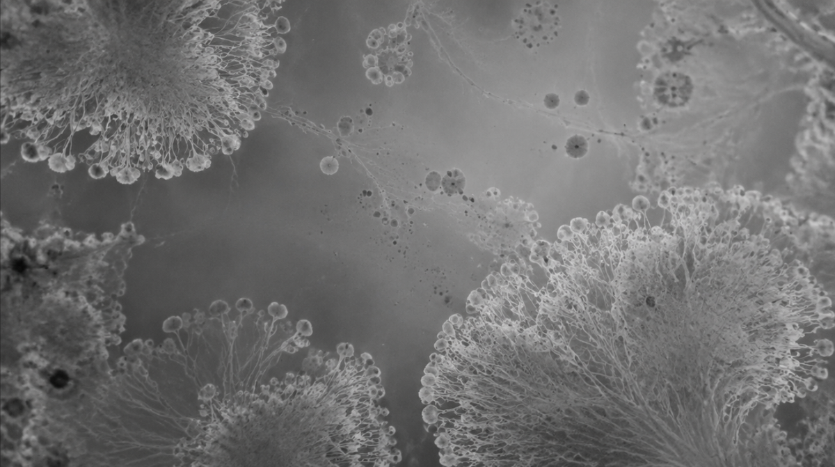 Microbiome: The Tiny Ecosystem Living on Your Skin
